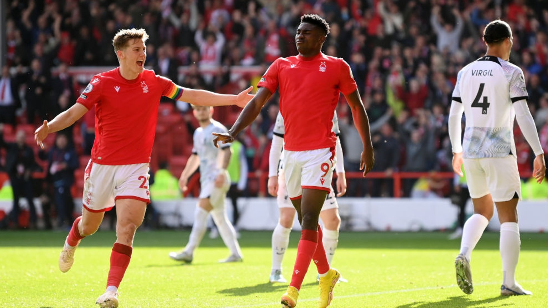 挥和丰富的 挥和丰富的